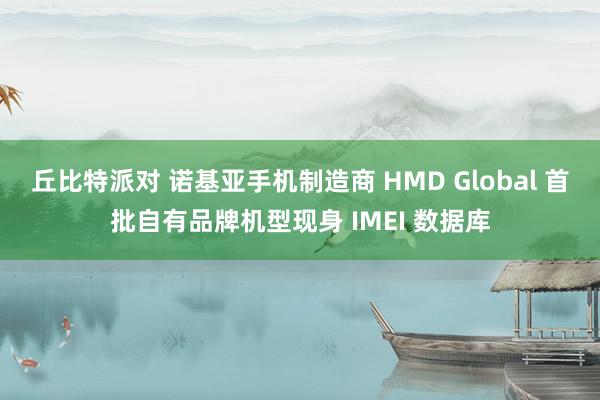 丘比特派对 诺基亚手机制造商 HMD Global 首批自有品牌机型现身 IMEI 数据库