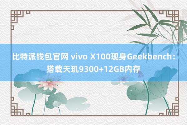 比特派钱包官网 vivo X100现身Geekbench：搭载天玑9300+12GB内存