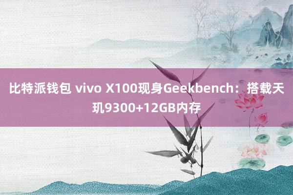 比特派钱包 vivo X100现身Geekbench：搭载天玑9300+12GB内存