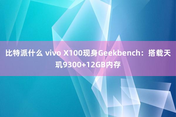 比特派什么 vivo X100现身Geekbench：搭载天玑9300+12GB内存
