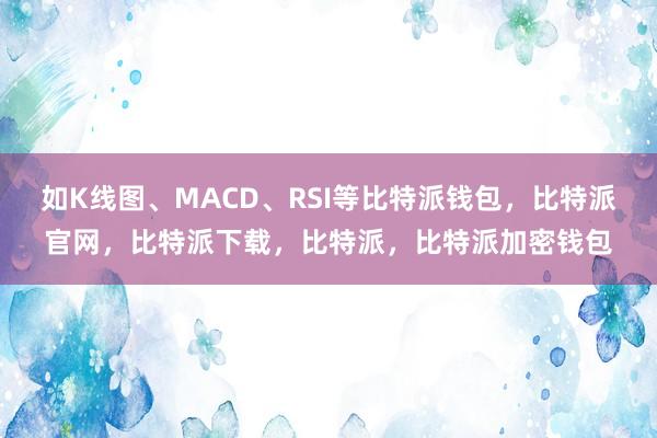 如K线图、MACD、RSI等比特派钱包，比特派官网，比特派下载，比特派，比特派加密钱包