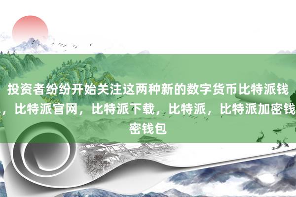 投资者纷纷开始关注这两种新的数字货币比特派钱包，比特派官网，比特派下载，比特派，比特派加密钱包