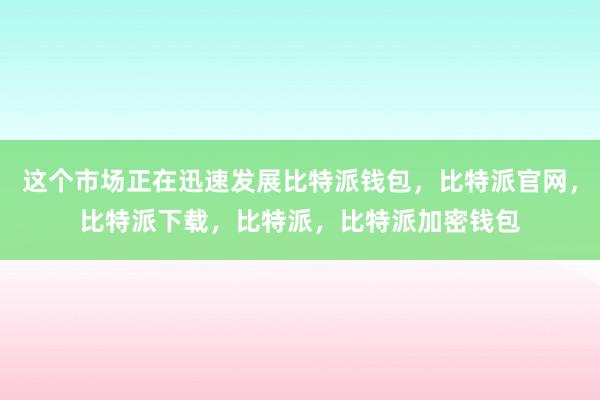 这个市场正在迅速发展比特派钱包，比特派官网，比特派下载，比特派，比特派加密钱包