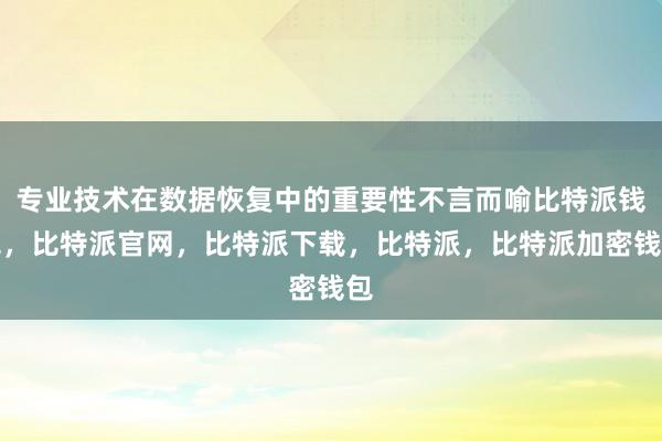 专业技术在数据恢复中的重要性不言而喻比特派钱包，比特派官网，比特派下载，比特派，比特派加密钱包