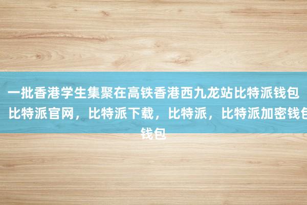 一批香港学生集聚在高铁香港西九龙站比特派钱包，比特派官网，比特派下载，比特派，比特派加密钱包