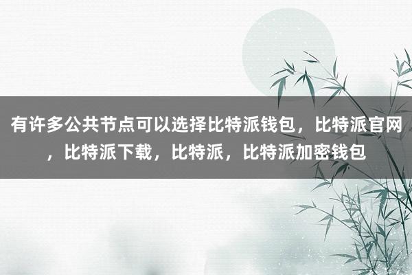 有许多公共节点可以选择比特派钱包，比特派官网，比特派下载，比特派，比特派加密钱包