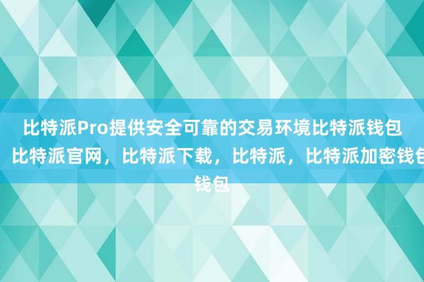 比特派Pro提供安全可靠的交易环境比特派钱包，比特派官网，比特派下载，比特派，比特派加密钱包