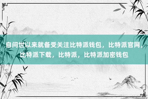 自问世以来就备受关注比特派钱包，比特派官网，比特派下载，比特派，比特派加密钱包