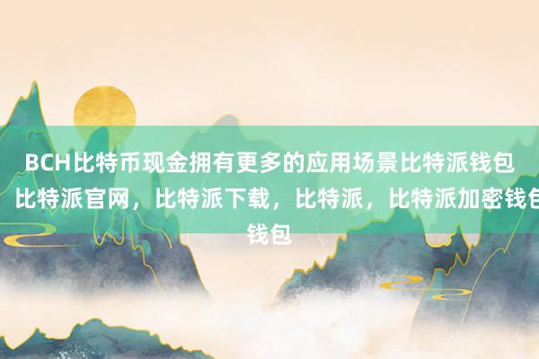 BCH比特币现金拥有更多的应用场景比特派钱包，比特派官网，比特派下载，比特派，比特派加密钱包