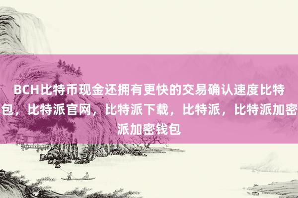 BCH比特币现金还拥有更快的交易确认速度比特派钱包，比特派官网，比特派下载，比特派，比特派加密钱包