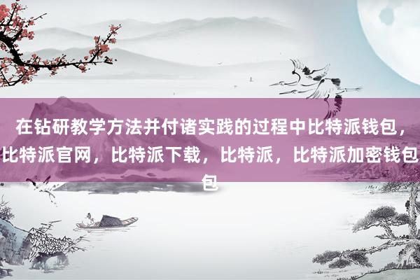 在钻研教学方法并付诸实践的过程中比特派钱包，比特派官网，比特派下载，比特派，比特派加密钱包