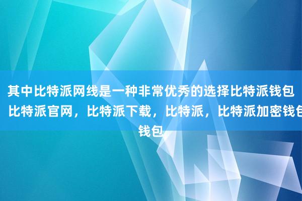 其中比特派网线是一种非常优秀的选择比特派钱包，比特派官网，比特派下载，比特派，比特派加密钱包