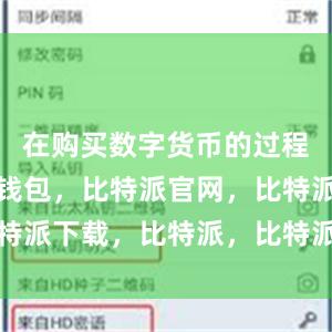 在购买数字货币的过程中比特派钱包，比特派官网，比特派下载，比特派，比特派加密钱包