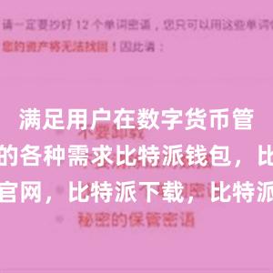 满足用户在数字货币管理过程中的各种需求比特派钱包，比特派官网，比特派下载，比特派，比特派加密钱包