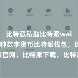 比特派私匙比特派wallet支持多种数字货币比特派钱包，比特派官网，比特派下载，比特派，比特派加密钱包