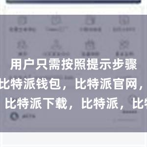 用户只需按照提示步骤进行设置比特派钱包，比特派官网，比特派下载，比特派，比特派加密钱包