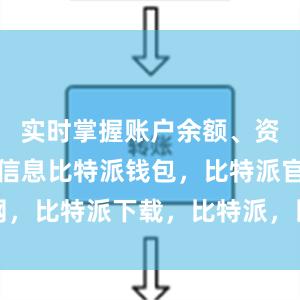 实时掌握账户余额、资产价值等信息比特派钱包，比特派官网，比特派下载，比特派，比特派加密钱包